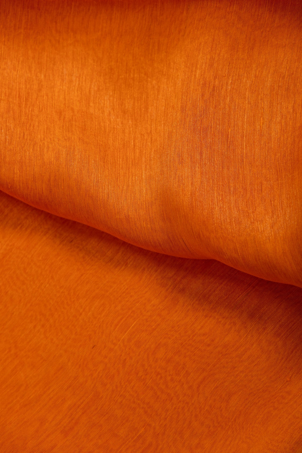 Agun Pakhi Bengal handloom saree with thin zari border