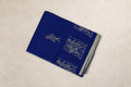 Madal Geet royal blue Kosa Tussar silk saree with ivory Bastar figure motifs